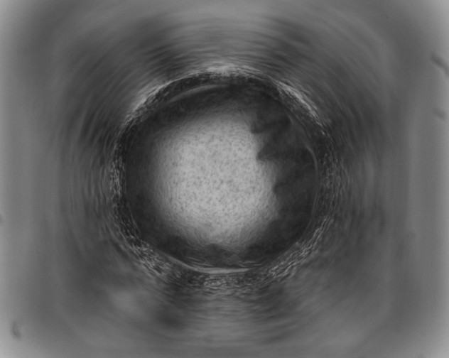 X0000096680776200802191351