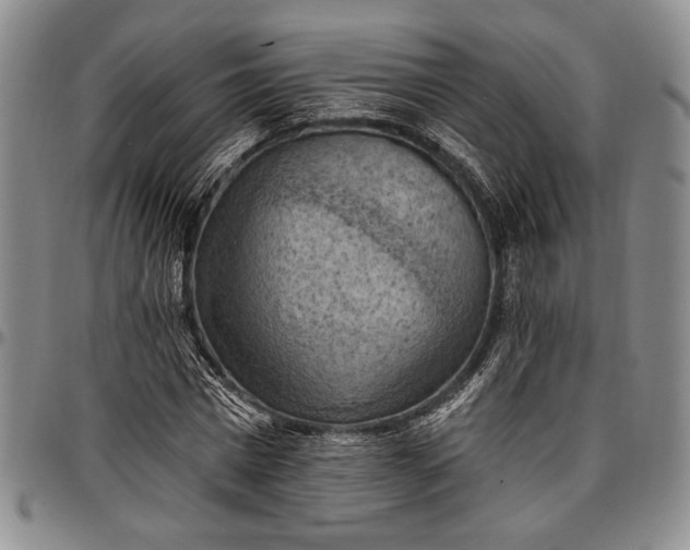 X0000096680777200802191351