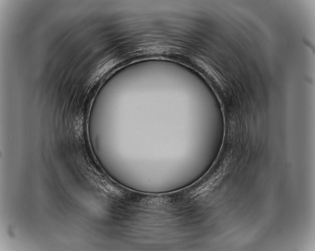 X0000096680778200802191351