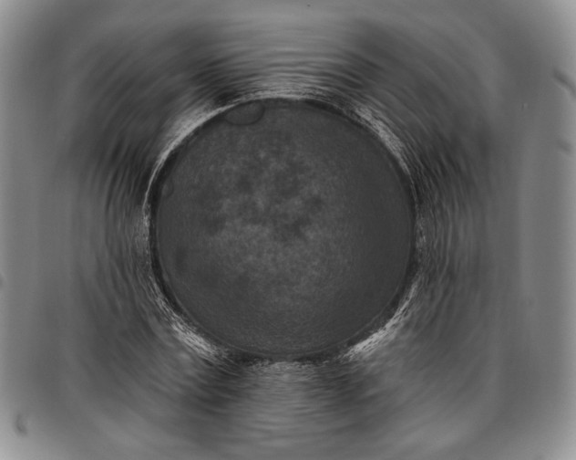 X0000096680779200802191351