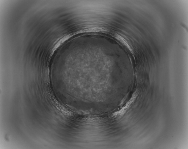 X0000096680781200802191351