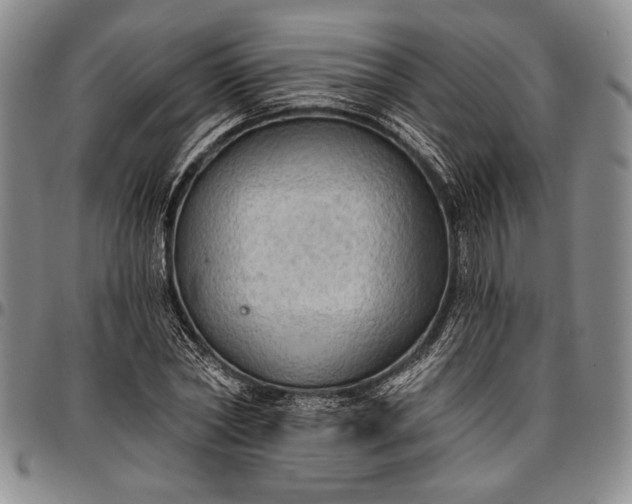 X0000096680782200802191351