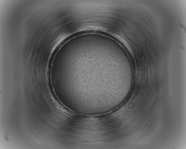 X0000096680783200802191351
