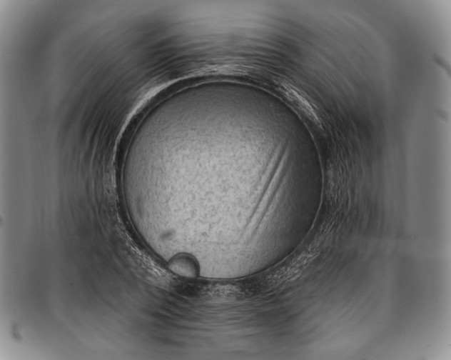 X0000096680784200802191351