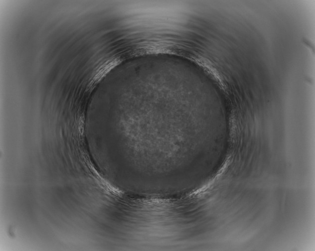 X0000096680785200802191351