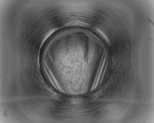 X0000096680788200802191351