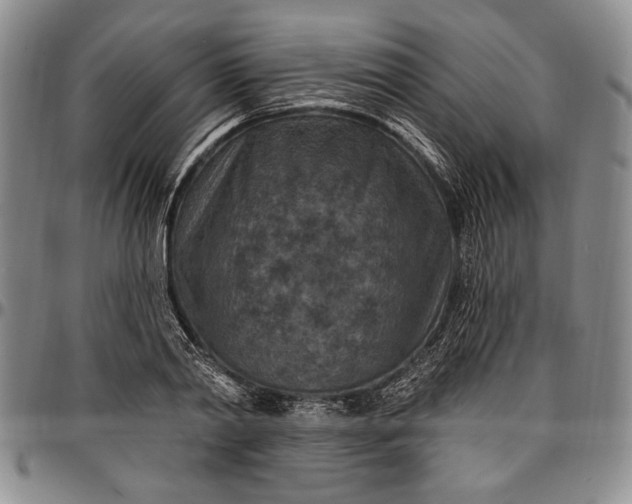 X0000096680790200802191351