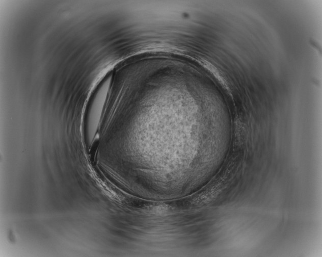 X0000096680791200802191351