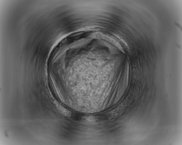 X0000096680792200802191351
