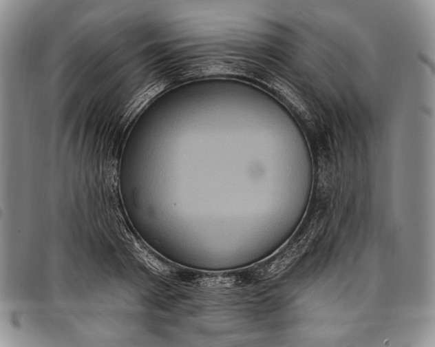 X0000096680793200802191351