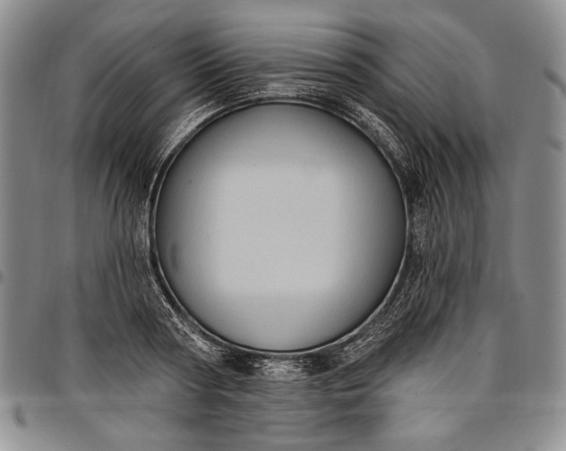 X0000096680794200802191351