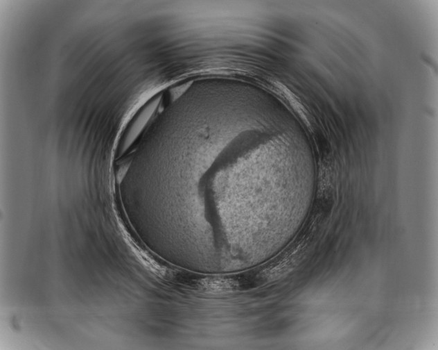 X0000096680795200802191351