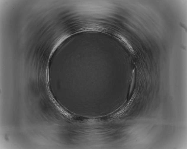 X0000096680796200802191351