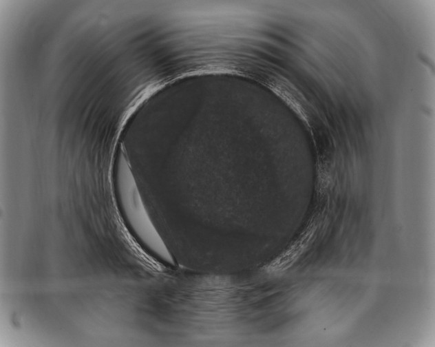 X0000096680797200802191351