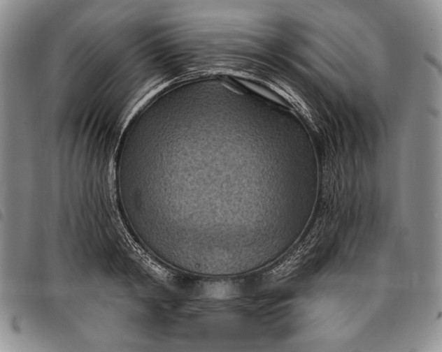 X0000096680798200802191351