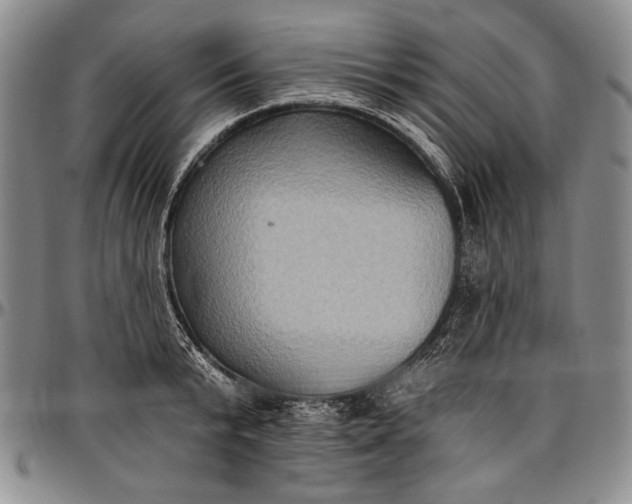 X0000096680799200802191351