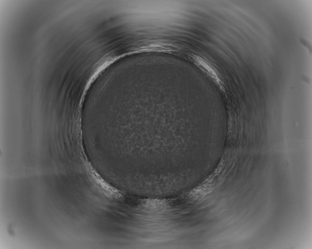 X0000096680800200802191351