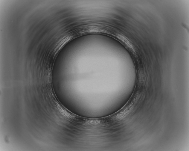 X0000096680801200802191351