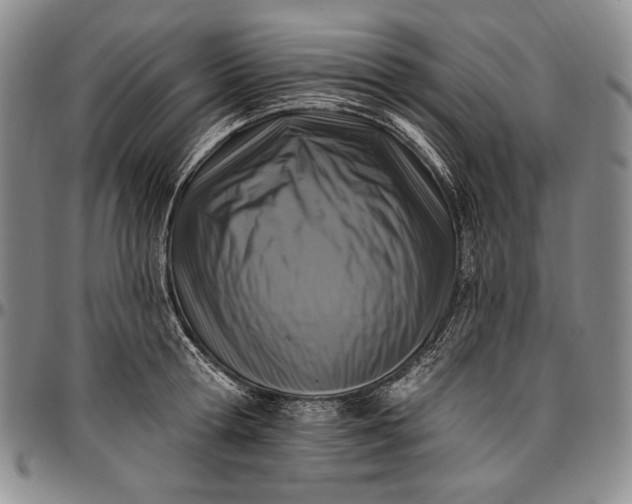 X0000096680802200802191351