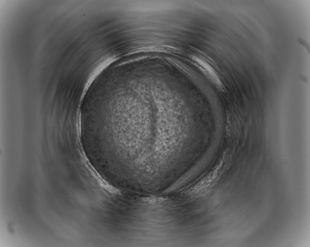 X0000096680804200802191351