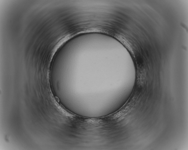 X0000096680805200802191351