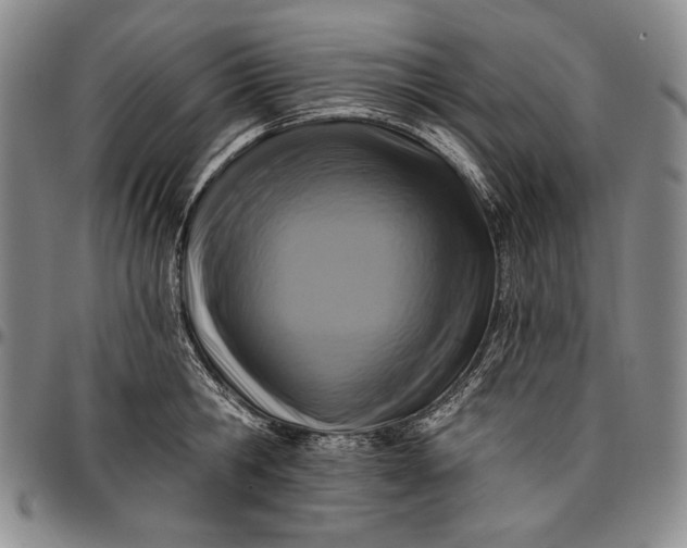 X0000096680806200802191351