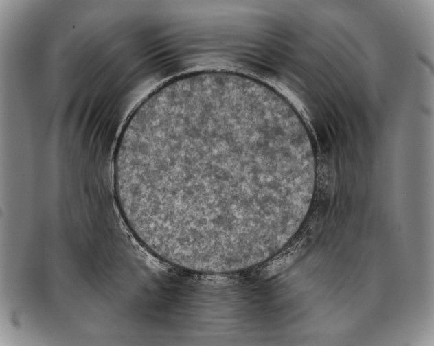 X0000096680807200802191351