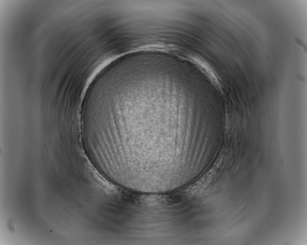 X0000096680808200802191351