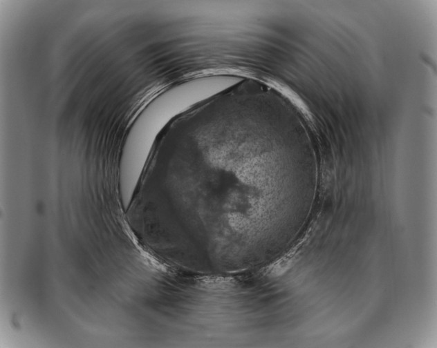 X0000096680809200802191351