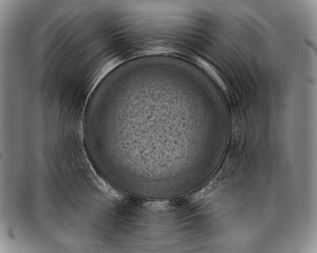 X0000096680810200802191351