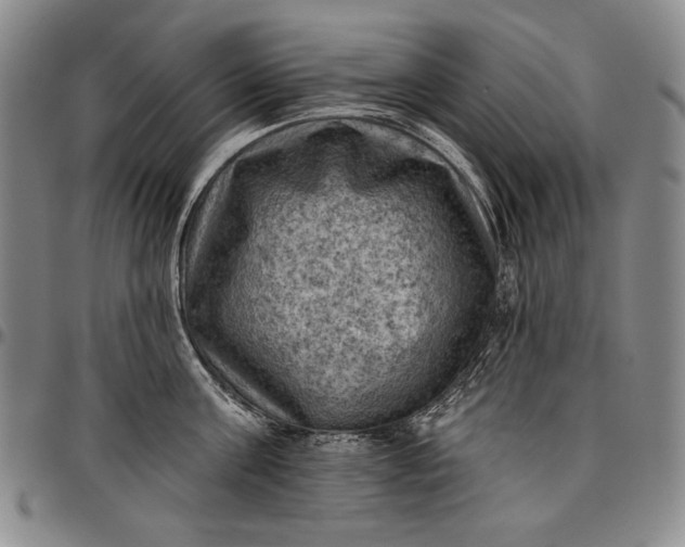 X0000096680811200802191351