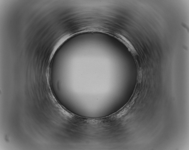 X0000096680812200802191351