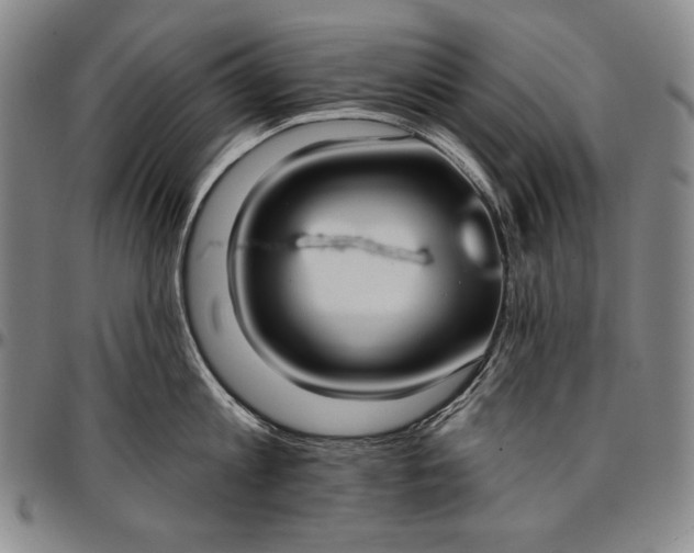 X0000096680813200802191351