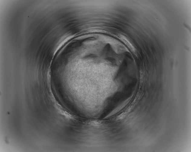 X0000096680814200802191351