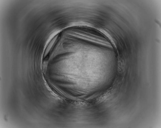 X0000096680815200802191351