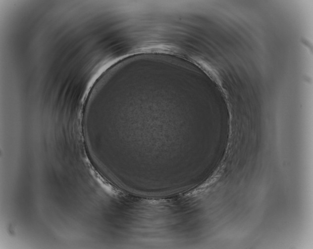 X0000096680816200802191351