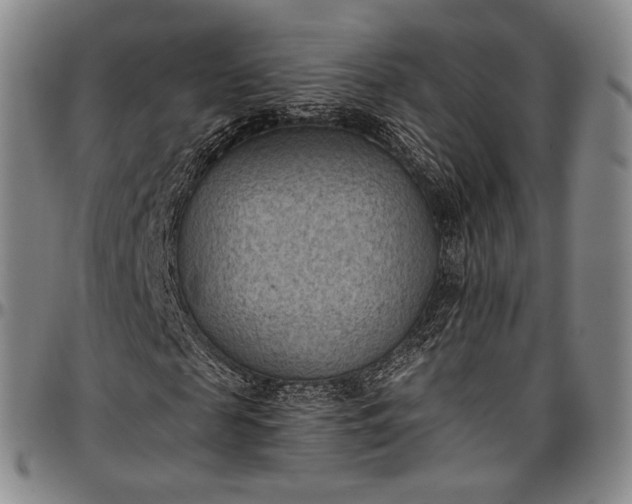 X0000096680817200802191350
