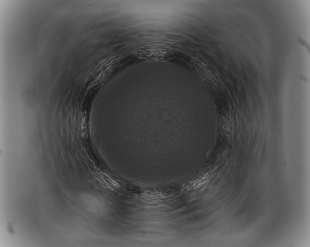 X0000096680818200802191350