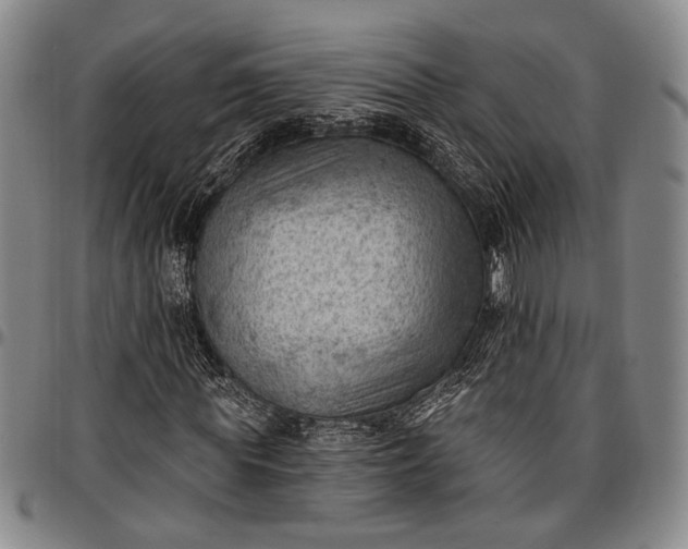 X0000096680819200802191350