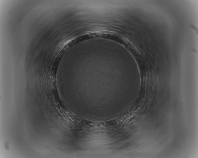X0000096680822200802191350