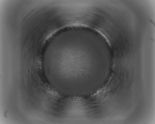 X0000096680823200802191350