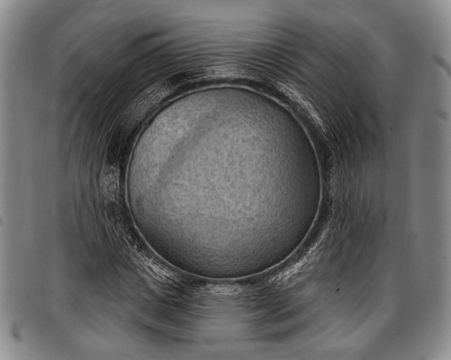 X0000096680825200802191350