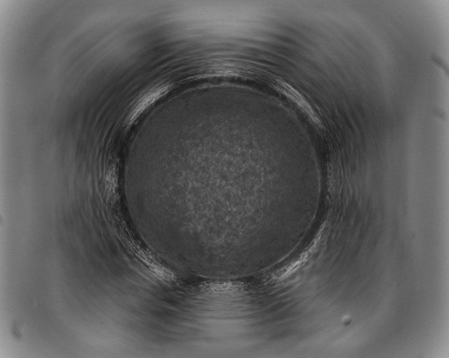 X0000096680826200802191350