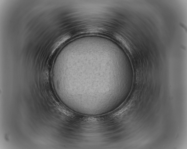 X0000096680827200802191350