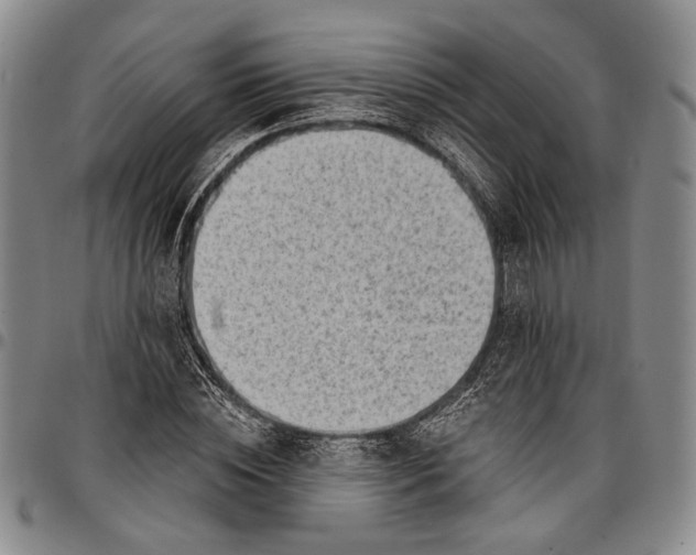 X0000096680828200802191350