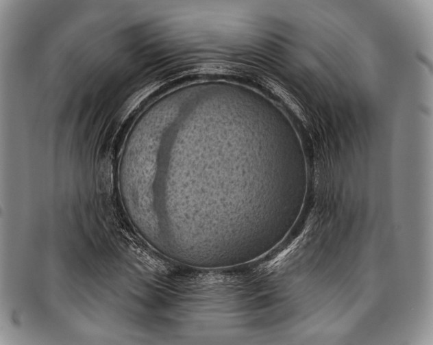 X0000096680829200802191350