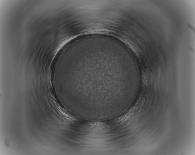 X0000096680830200802191350