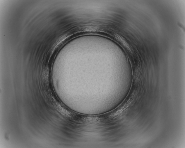 X0000096680831200802191350