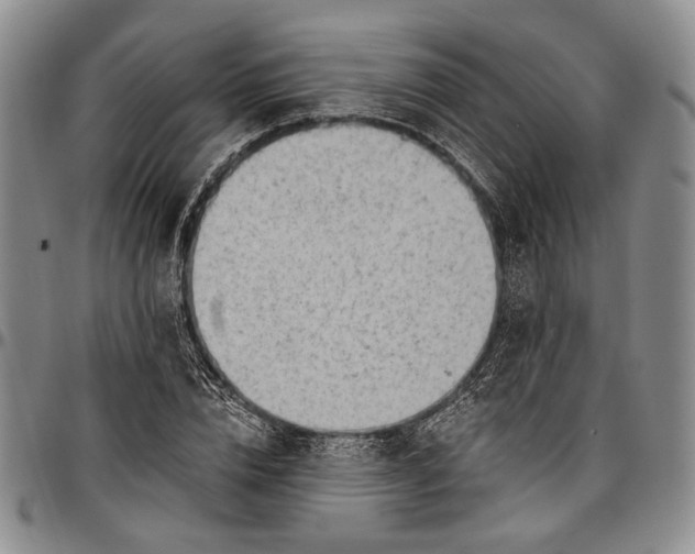 X0000096680832200802191350