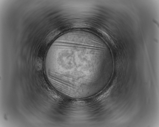 X0000096680833200802191350